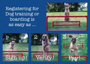 Registering for dog training and boarding is super easy!